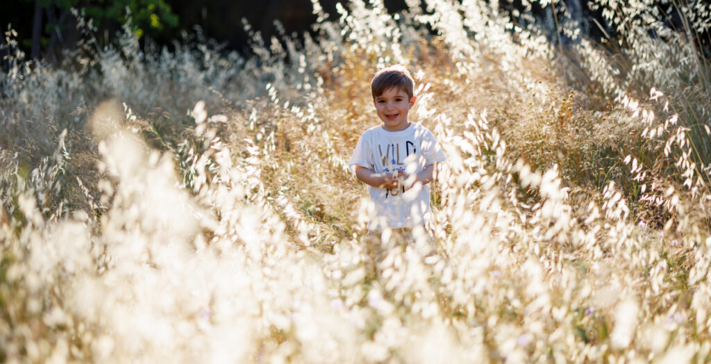 Mellow Photography
